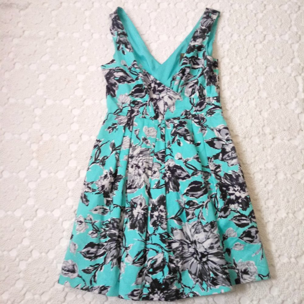 Taylor Fit Flare Dress Sleeveless V Neck Blue Black Floral Pleat Skirt 10 Women
